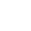 Lost Passport Application